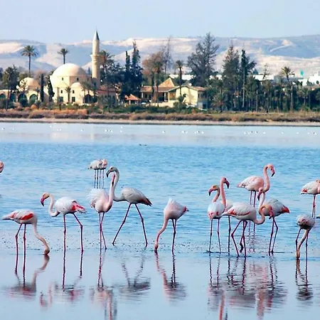 Sunshine Escape Apartment