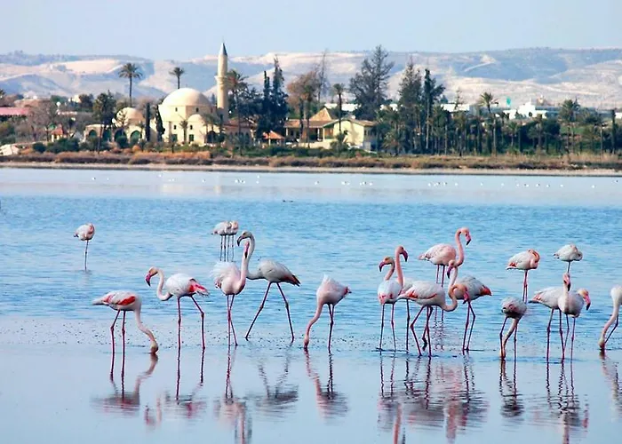 Sunshine Escape Apartmán